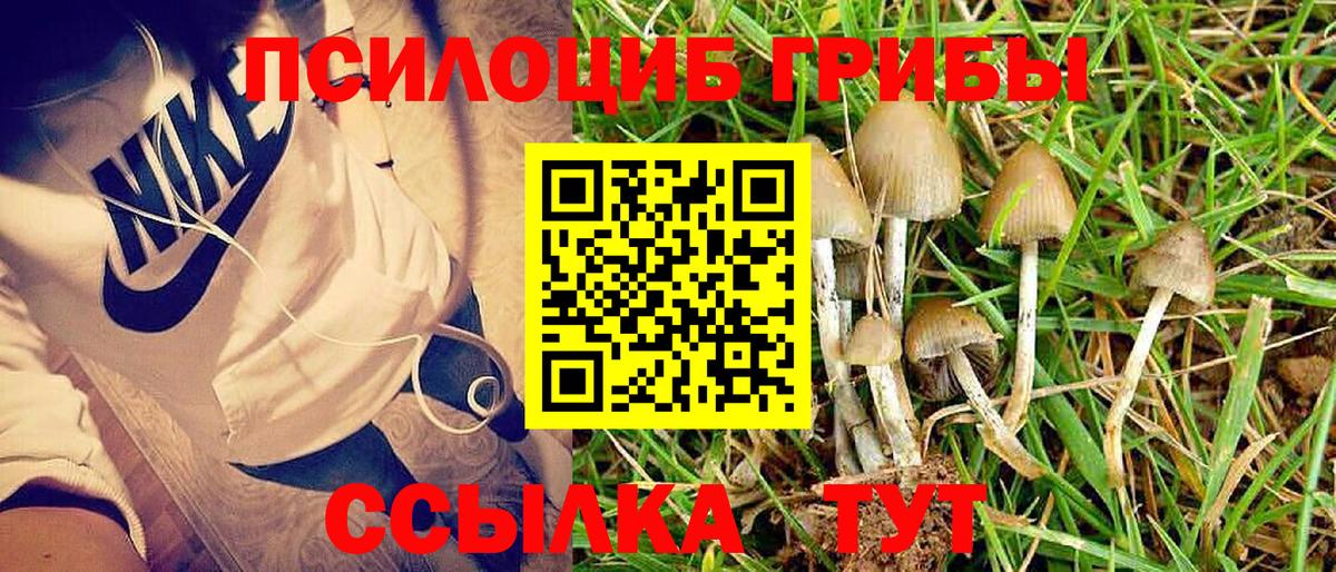 Галлюциногенные грибы ЛСД  Вход с VPN  Мичуринск 